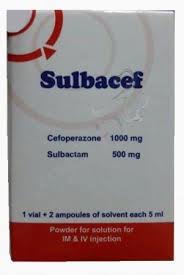 REF_P_0_Sulbacef 1.5 Vial
