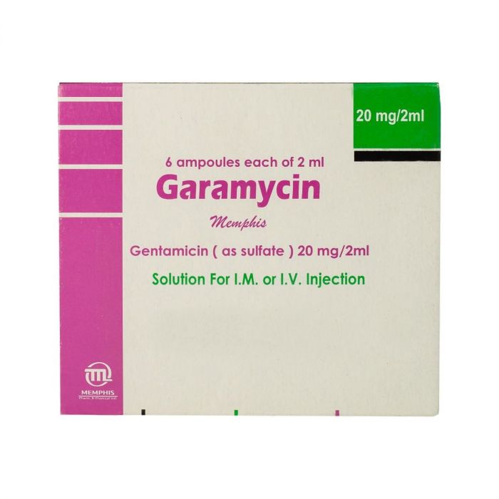 Garamycin 20Mg 6Amp