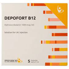 Depofort B12 1000 5Amp