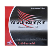 Alfaclindamycin 300Mg 5 Amp