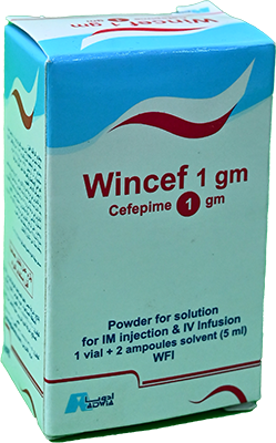 Wincef 500 Vial