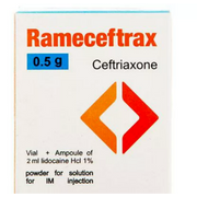 Rameceftrax 0.5Gm Vial
