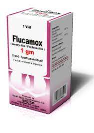 Flucamox 1Gm Vial