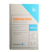 Cefaxone 500Mg Im 1Vial